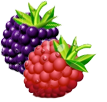 berries
